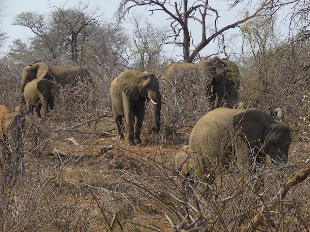 Kruger National Park