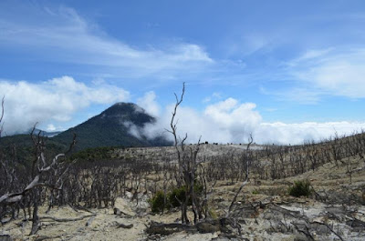 Gunung Papandayan