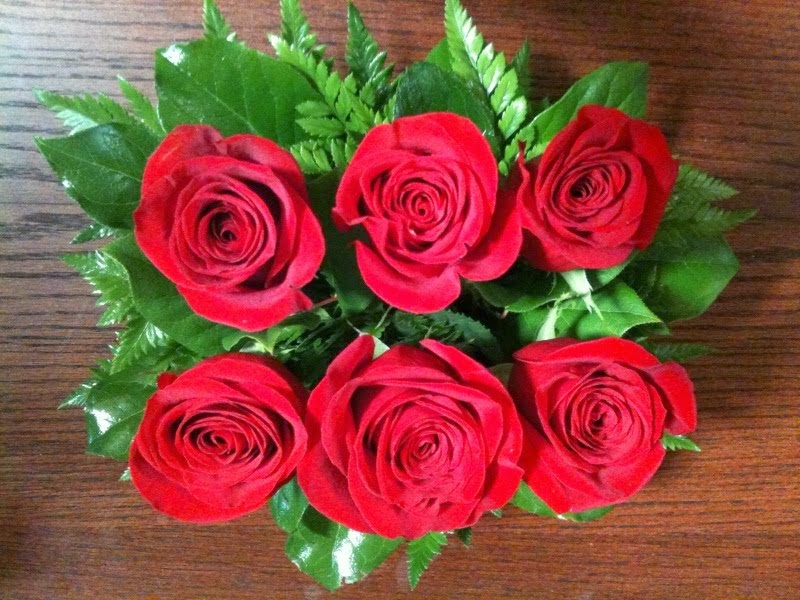 20 Gambar  Foto  Bunga  Mawar  Merah  Ayeey com