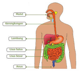 kunci jawaban tematik tema 3 kelas 5