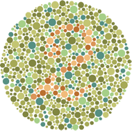 Check your Color Vision Online