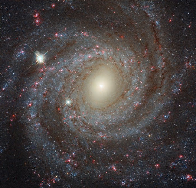 galaksi-ngc-3344-the-lonely-beauty-informasi-astronomi