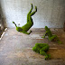 Eerily Fascinating Grass Sculptures