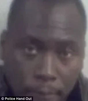 Illegal immigrant is jailed for leading gang of Nigerian fraudsters who pretended to be MPs, police and even judges in ?10million benefits scam.