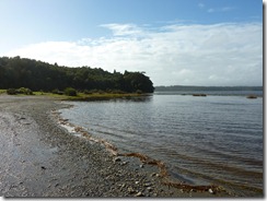 P1020334