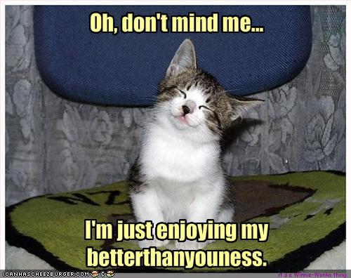 funny cats pics with words. funny cats pics with words.