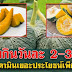 ต้มฟักทอง กินประจำ วันละ 2-3 ชิ้น ประโยชน์เพียบ