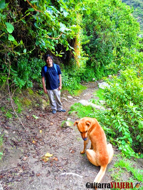 Camino a cascada de Palacala