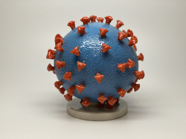 Can the Coronavirus (COVID-19) happen again