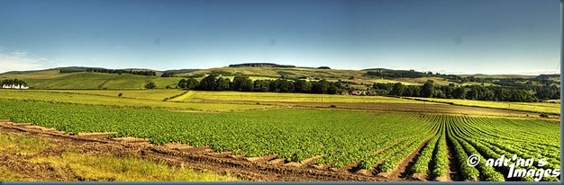 carnbo4