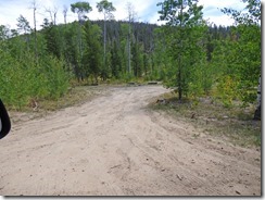 National Forest area, Stillwater Pass Area