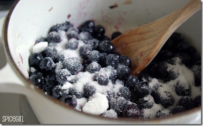BlueberryChutney0019LG