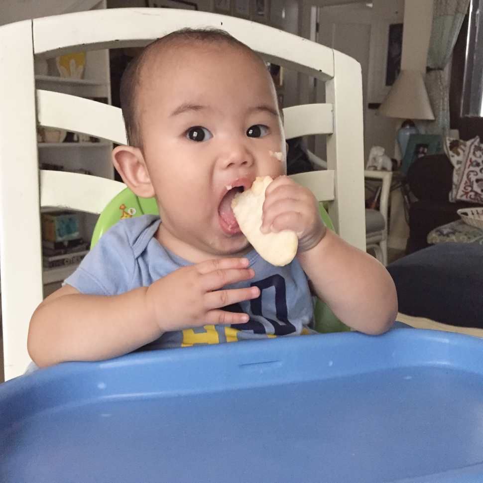 baby food champ