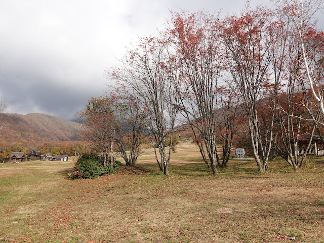 奥大山スキー場の公園