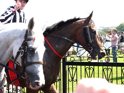 race5_thats the one2