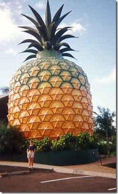 wlpineapple