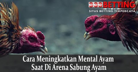 Cara Meningkatkan Mental Ayam Saat Di Arena Sabung Ayam