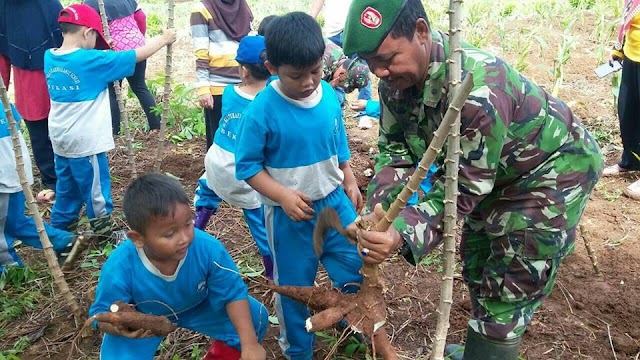 Keren...Puluhan Siswa SD Diajarkan Cara Bertani Oleh Babinsa