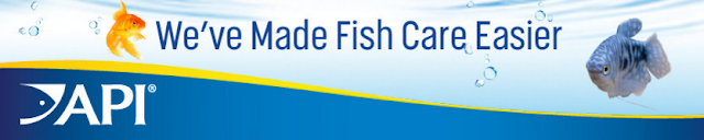 API Fishcare makes fish care easier #APIfish
