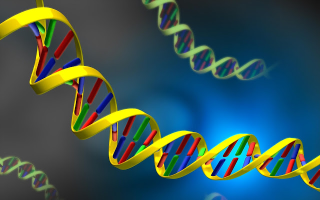 Isothermal Nucleic Acid Amplification Technology (INAAT) Market