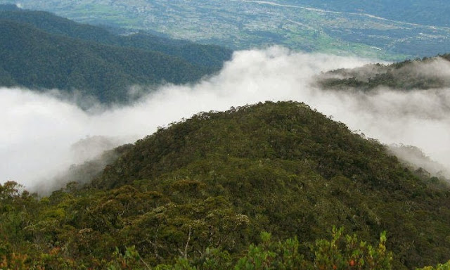 9 Daftar Bukit dan Gunung Terpopuler di Aceh, Yang Sangat Memanjakan Mata