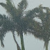 CHOVE FORTE EM GUAMARÉ E A PREVISÃO É DE MAIS CHUVAS NOS PRÓXIMOS DIAS 