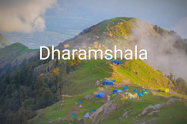 Dharamshala, Buzzy Articles