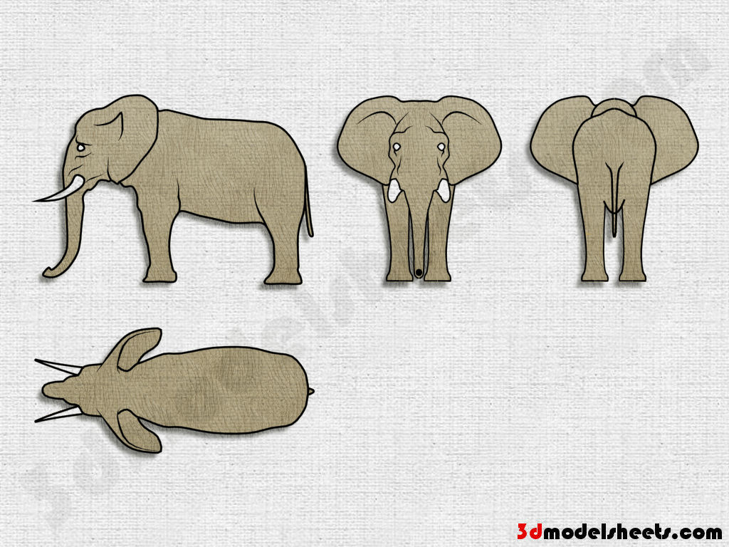 HIGH RESOLUTION TEXTURES Free Animal Blueprints Model  Sheets