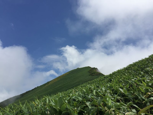 茂倉岳の山容