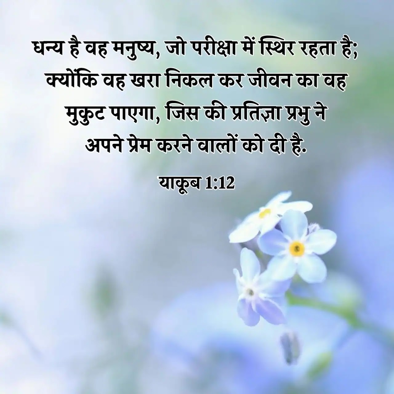 Hindi Bible Vachan Image