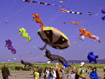 International-Kite-Festival-New-york-Washigton