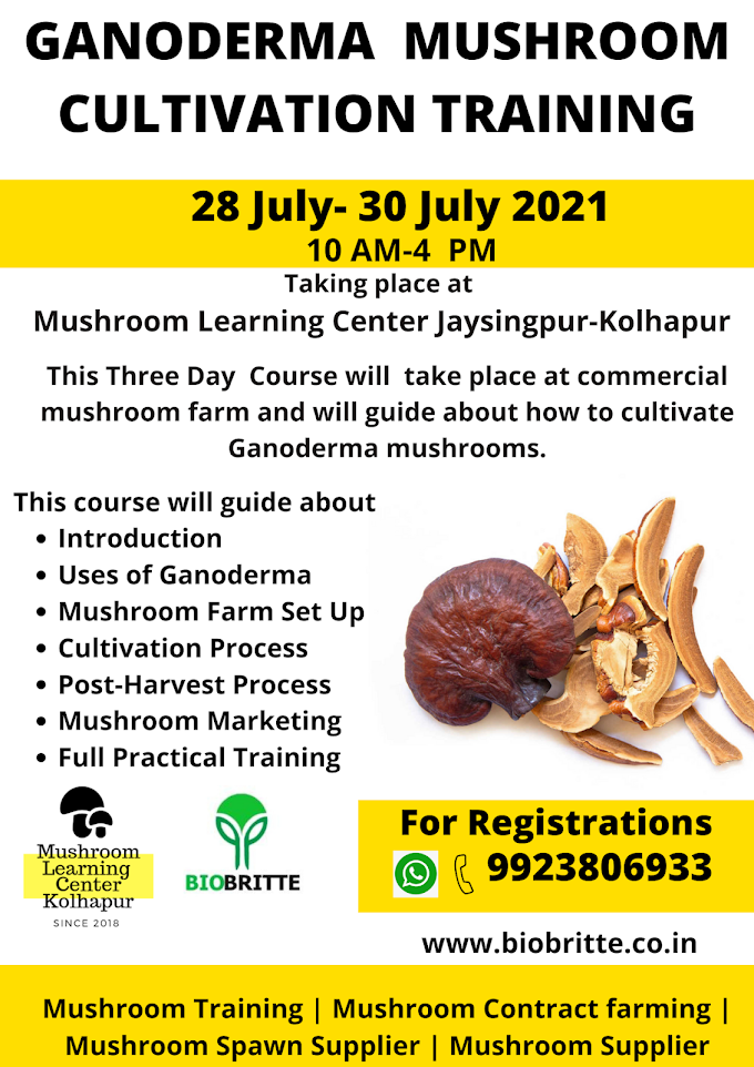 Ganoderma Mushroom Cultivation Training | 28-30 July 2021