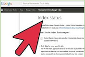 Ini Cara Cepat Website Baru Terindeks SEO atau Google