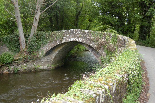 Bridge Over River6