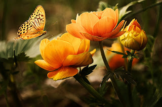 nektar bunga
