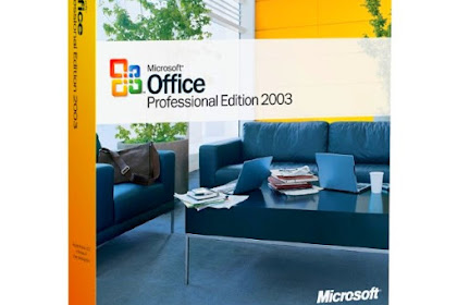 Microsoft Office Professional 2003 SP3 (2019.02)