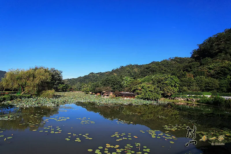 台灣島原住民部落屋-蓮花池｜泰雅渡假村花卉部落建築