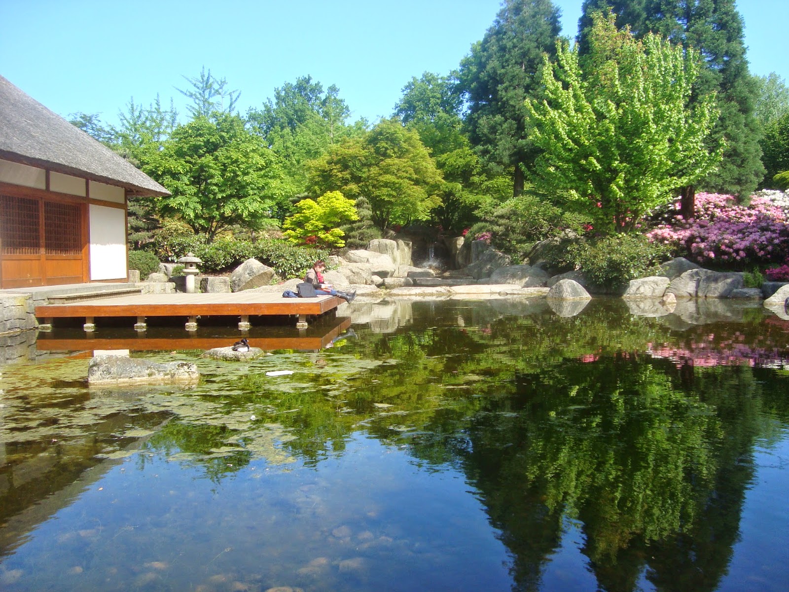  Κεντρική λίμνη Ιαπωνικού κηπου