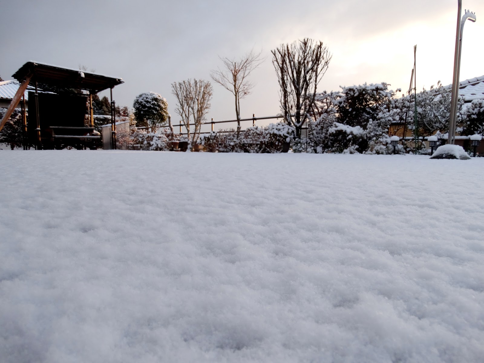 毎日が日曜日 東広島 今朝は 雪が積もっていました