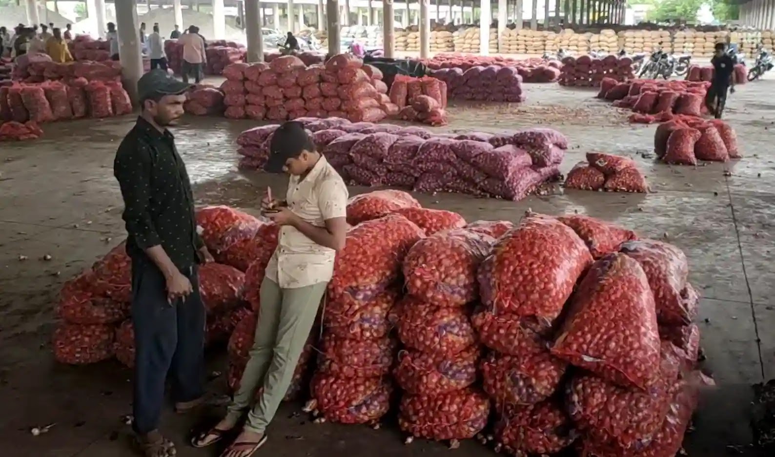 commodity bajar samachar of onion price today low will depend on the condition of the onion crop and new kanda income