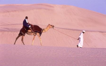 Qatari Desert