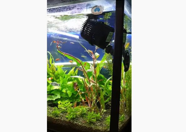 How to Setup Fish Tank Wavemaker & Filter