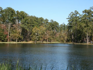 Chattahoochee State Park - Home to an Unsurpassed Fishing Record!