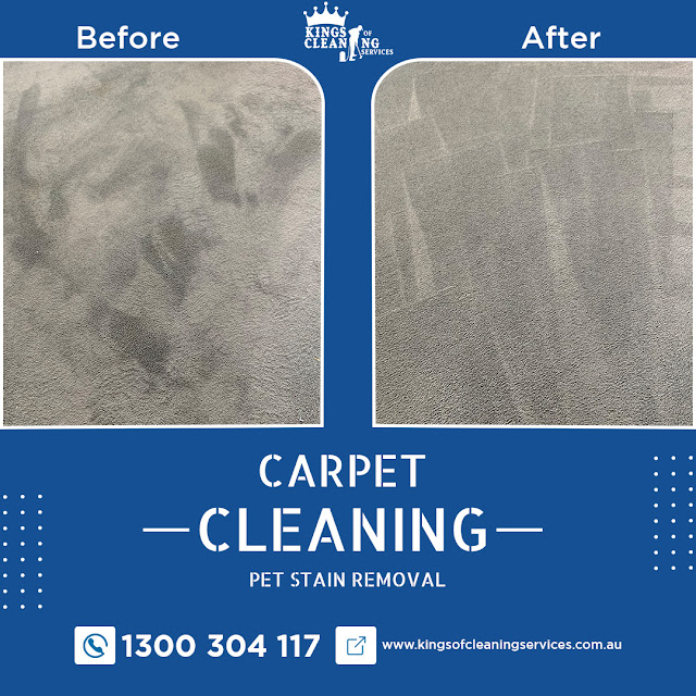 Carpet Steam Cleaning Sydney at Kings of Cleaning