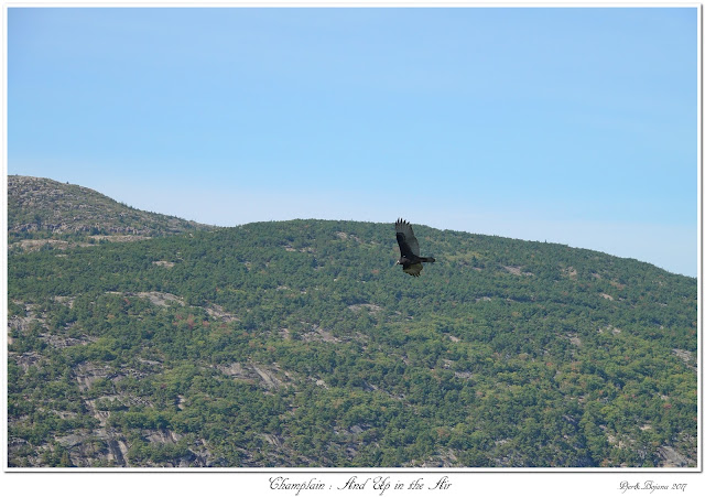 Champlain: And Up in the Air