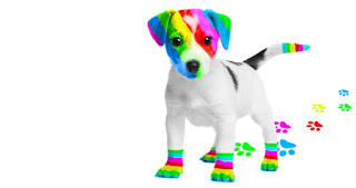 El perro arcoiris de Cristina