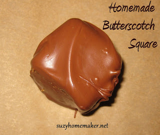 Homemade butterscotch squares - suzyhomemaker.net