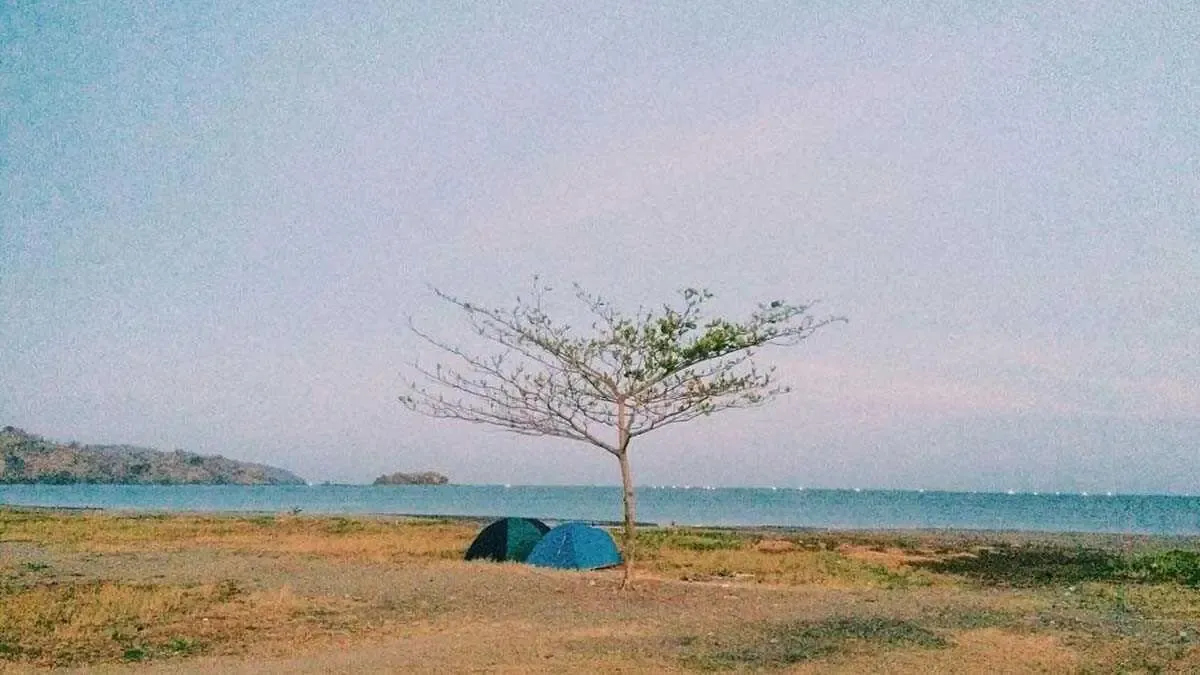 Camping di Pantai Palangpang