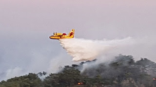 Οριοθετημένη η φωτιά στα Ροδινά Ζαχάρως