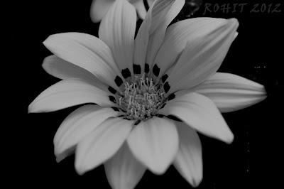 Black And White Photography